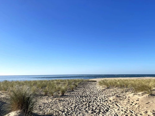 Villa Lège-Cap-Ferret, 5 pièces, 6 personnes - photo_1011742383766