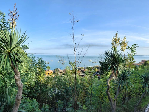 Villa Lège-Cap-Ferret, 5 pièces, 6 personnes - photo_1011742383766