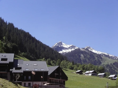 Apartment Arêches-Beaufort, 1 bedroom, 4 persons - photo_16414908297