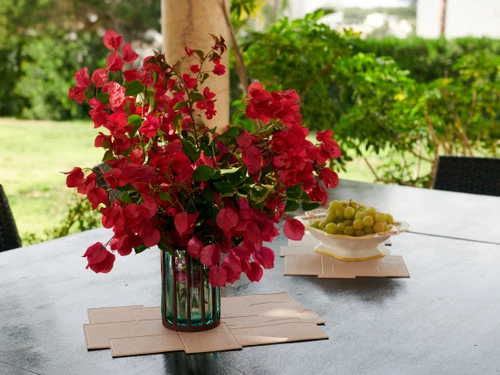 Villa Portopetro, 4 bedrooms, 8 persons - photo_1011745265985