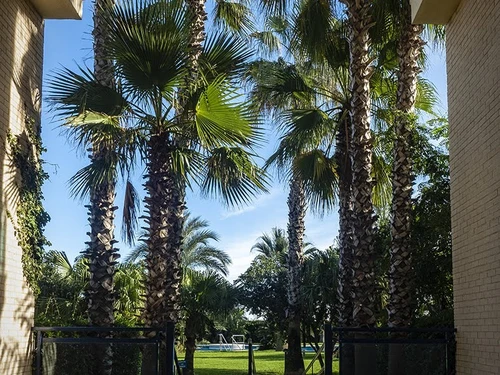 Apartment Xeraco, 3 bedrooms, 6 persons - photo_1011746213396