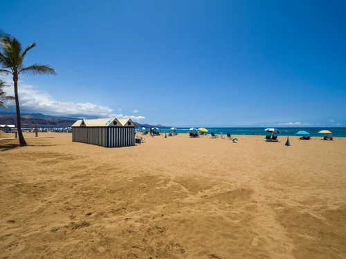 Studio Las Palmas de Gran Canaria, 1 bedroom, 2 persons - photo_1011746789165