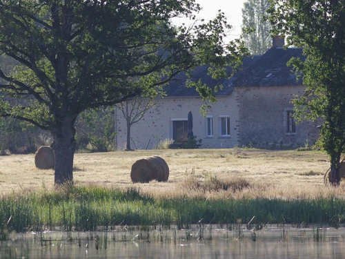 Gîte Migné, 3 pièces, 4 personnes - photo_15582833790