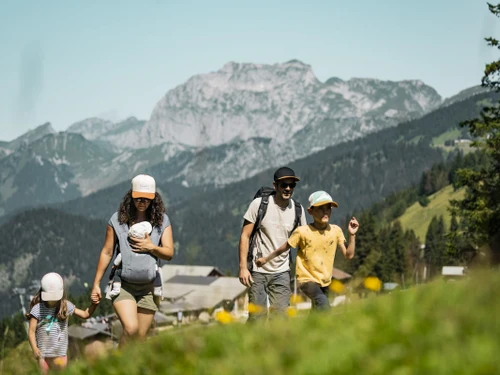 Studio Châtel, Studio, 3 Personen - photo_1011737030929