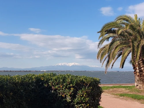 Appartement Le Barcarès, 2 pièces, 4 personnes - photo_1011745227345