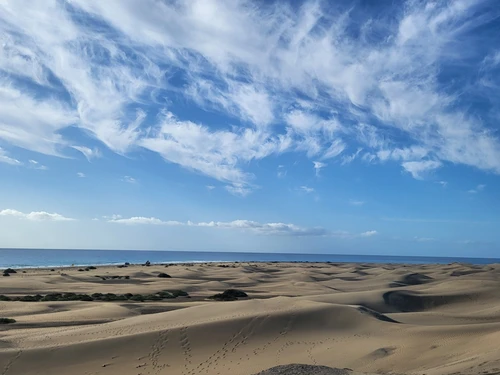 Bungalow Maspalomas, 3 bedrooms, 6 persons - photo_1011746786712