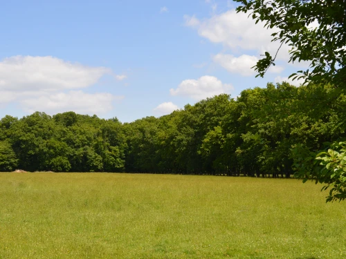 Gîte Mouhers, 2 pièces, 4 personnes - photo_14993919172