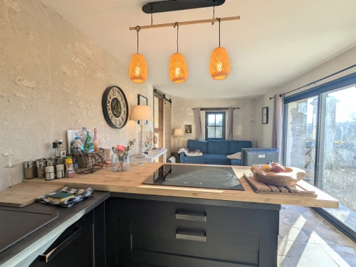 Gîte Saint-Cyran-du-Jambot, 5 pièces, 14 personnes - photo_1011759232194