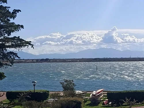 Apartment Le Barcarès, 1 bedroom, 4 persons - photo_1011759682951