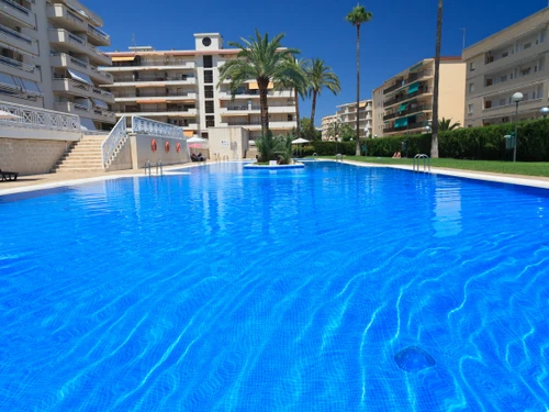 Apartamento La Pineda, 1 dormitorio, 4 personas - photo_1011763143062