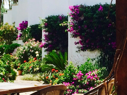 Appartement Port de Pollença, 3 pièces, 4 personnes - photo_1011716705677