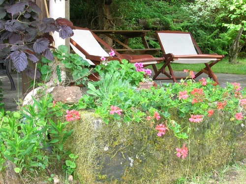 Gite Saint-Nabord, 3 bedrooms, 6 persons - photo_14994471226