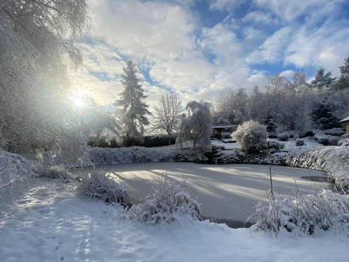 Gite Saint-Nabord, 3 bedrooms, 6 persons - photo_14994471226