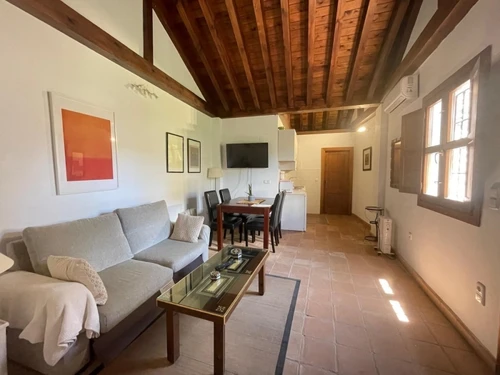 Appartement Grenade, 2 pièces, 4 personnes - photo_1011715793169