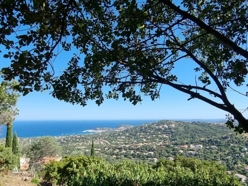 Villa Cavalaire-sur-Mer, 3 bedrooms, 6 persons - photo_17742973132