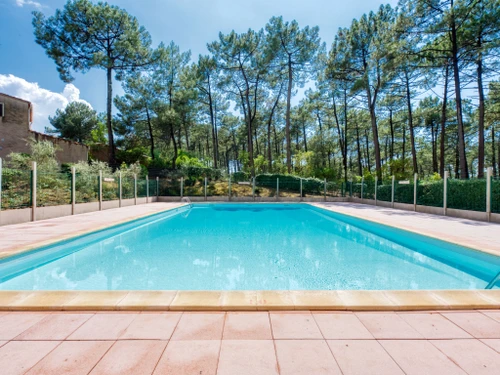 Maison Lacanau, 2 pièces, 4 personnes - photo_710241021