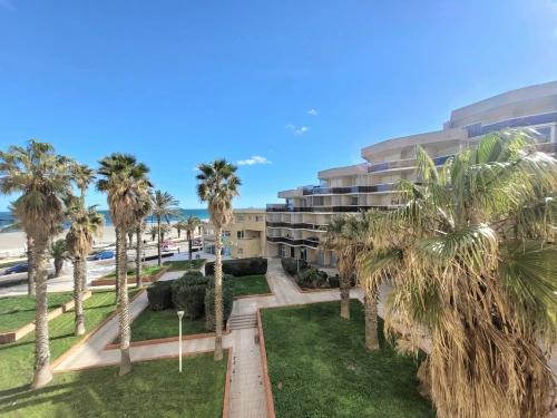 Appartement Canet-en-Roussillon, 2 pièces, 4 personnes - photo_1011769379387