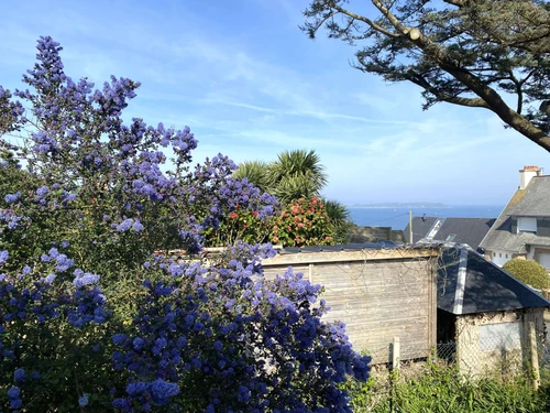 Ferienhaus Perros-Guirec, 3 Schlafzimmer, 6 Personen - photo_1011618848892