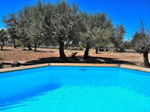 Gîte Llubí, 3 pièces, 4 personnes - photo_1011769678385