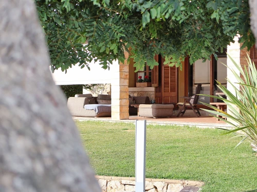 Gîte Binissalem, 5 pièces, 8 personnes - photo_1011769681053