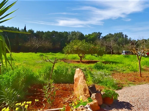 Gîte Llucmajor, 5 pièces, 9 personnes - photo_1011769685332