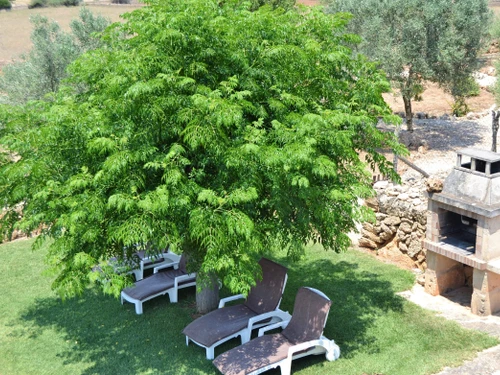 Gîte Son Serra de Marina, 5 pièces, 8 personnes - photo_1011769687696
