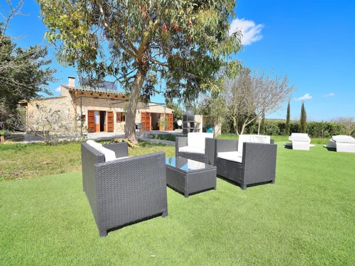 Gîte Sineu, 2 pièces, 3 personnes - photo_1011769695913