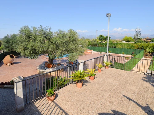 Gîte Muro, 3 pièces, 4 personnes - photo_1011769697536