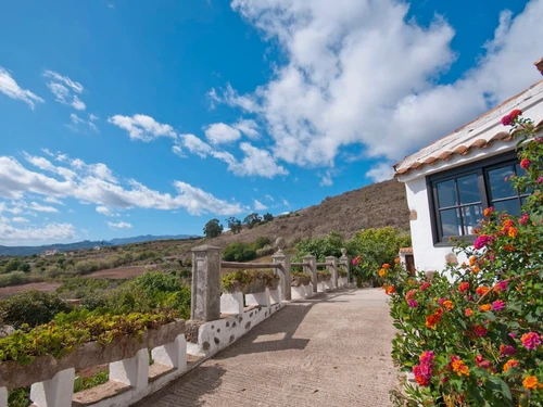 Maison Teror, 3 pièces, 5 personnes - photo_1011769699650