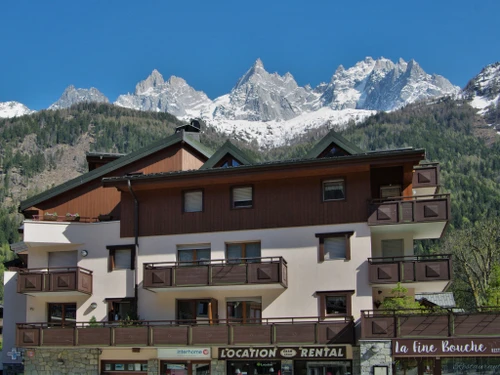 Appartement Chamonix-Mont-Blanc, 1 pièce, 4 personnes - photo_709639690