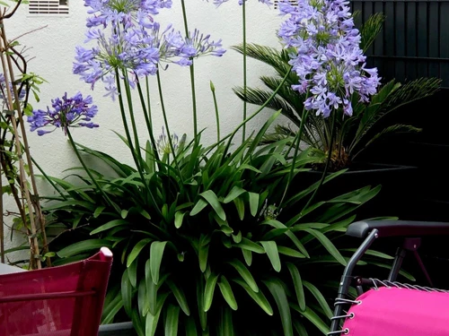 Appartement Noirmoutier-en-l'Île, 2 pièces, 2 personnes - photo_17479434795