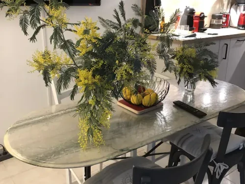 Appartement Noirmoutier-en-l'Île, 2 pièces, 2 personnes - photo_17479434795