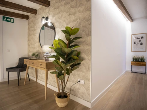 Apartment Puerto de la Cruz, 1 bedroom, 3 persons - photo_1011771930383