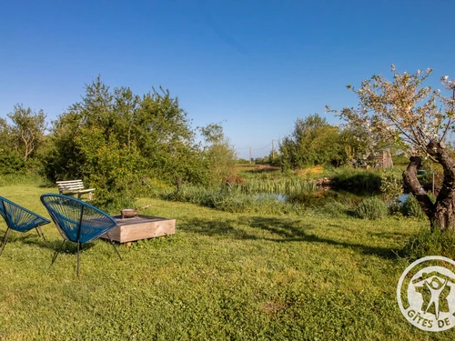 Gîte Rochefort-sur-Loire, 2 pièces, 2 personnes - photo_1011197943597