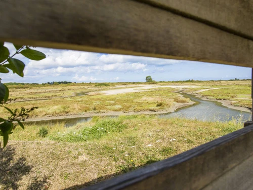 Studio Merville-Franceville-Plage, studio flat, 3 persons - photo_1011773826700