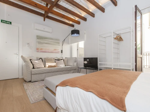 Studio Madrid, studio flat, 4 persons - photo_1011773852663