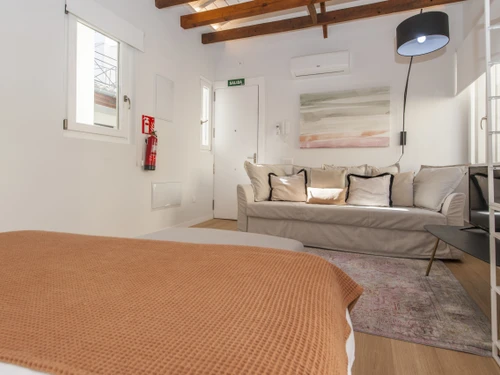 Studio Madrid, studio flat, 4 persons - photo_1011773852663