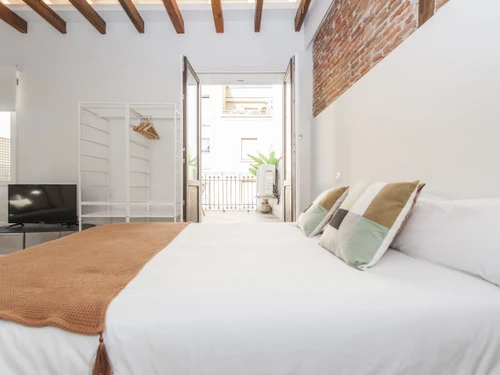 Studio Madrid, studio flat, 4 persons - photo_1011773852663