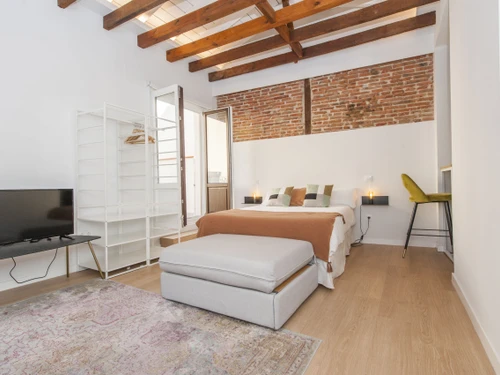 Studio Madrid, studio flat, 4 persons - photo_1011773852663