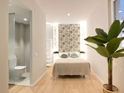 Appartement Madrid, 2 pièces, 4 personnes - photo_1011773853224