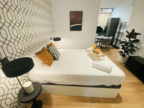 Studio Madrid, studio flat, 2 persons - photo_1011773854975