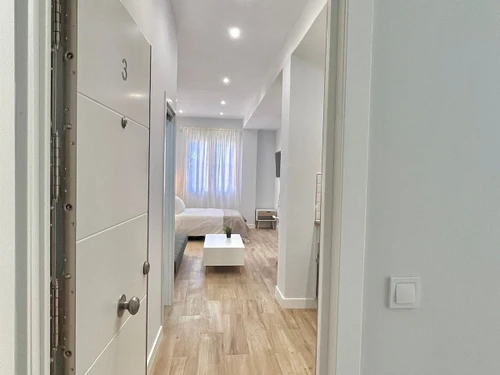Studio Madrid, studio flat, 3 persons - photo_1011773859865