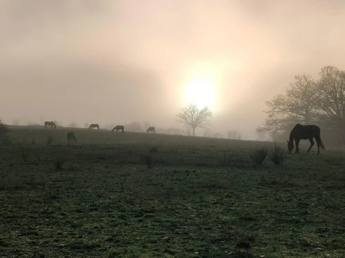 Gîte Saint-Bonnet-de-Four, 2 pièces, 2 personnes - photo_1011695747057