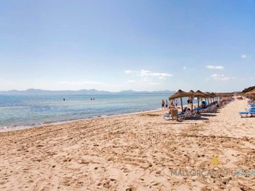 Villa Playa de muro, 4 pièces, 6 personnes - photo_1011716703909