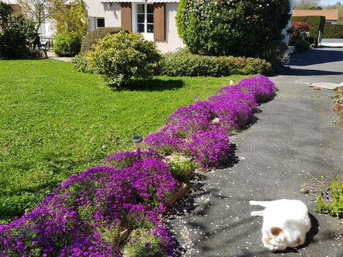 Guestroom Châtillon-sur-Indre, 1 pièce, 2 personnes - photo_1011663109265