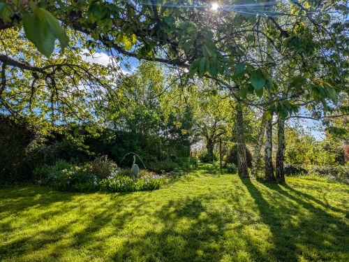 Guestroom Châtillon-sur-Indre, 1 pièce, 3 personnes - photo_1011663107047