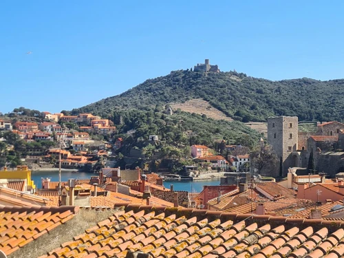 Maison Collioure, 3 pièces, 5 personnes - photo_1011595222692