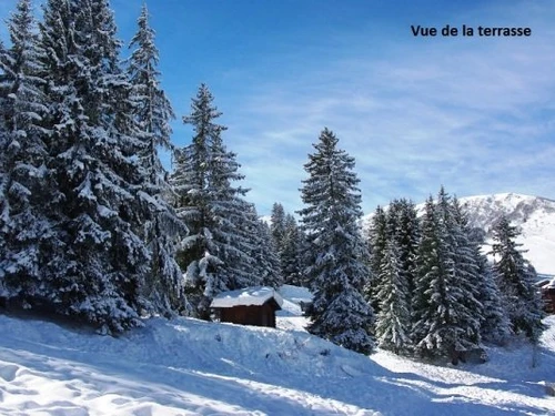 Apartment Valmorel, 1 bedroom, 5 persons - photo_13775336784