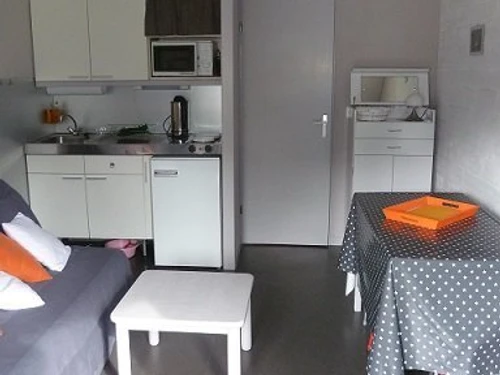 Apartment Le Lioran, 1 bedroom, 5 persons - photo_1011777310339