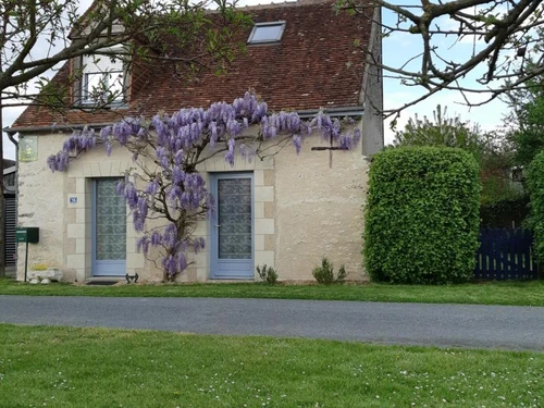 Gîte Luzillé, 3 pièces, 4 personnes - photo_12518125561